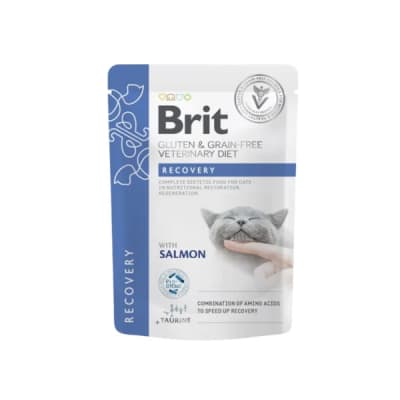 brit vet diet recovery pouch gato