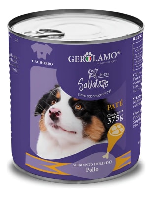 gerolamo pate cachorro