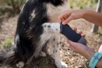 ruffwear boot liners