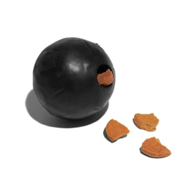 zeedog cannon ball