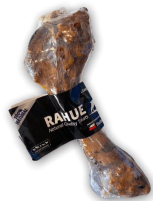rahue femur cerdo