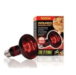 zoomed ampolleta infraroja