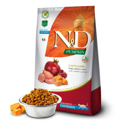 n&d pumpkin gato castrado