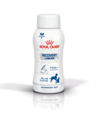 royal canin recovery liquid