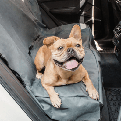 gfpet cubierta asiento