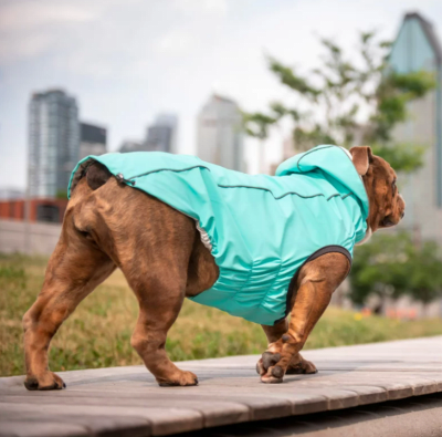 gfpet impermeable revers neon aqua