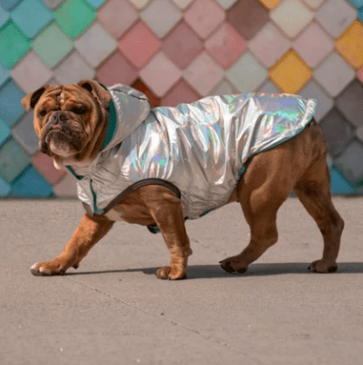 gfpet impermeable revers neon aqua