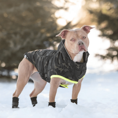 gfpet parka recicla camuflaje
