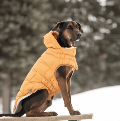 gfpet parka super puff yellow