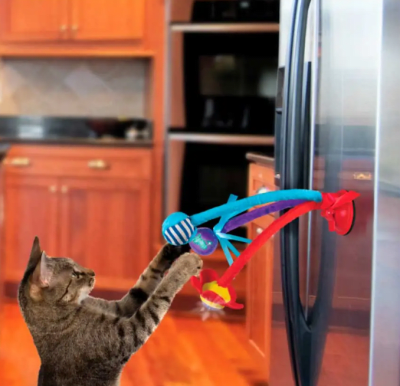 kong connects bat spring