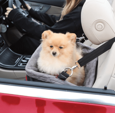 kong secure booster seat