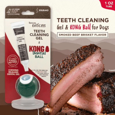 tclean gel dental carne+ pelota kong