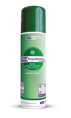 intra-repiderma