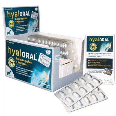 hyaloral raza pequeña sachet