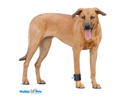 walkinpets venda para muñeca