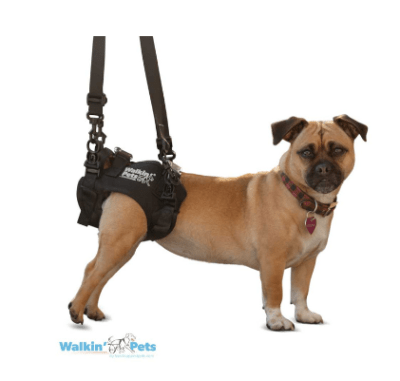 walkinpets lift arnes trasero