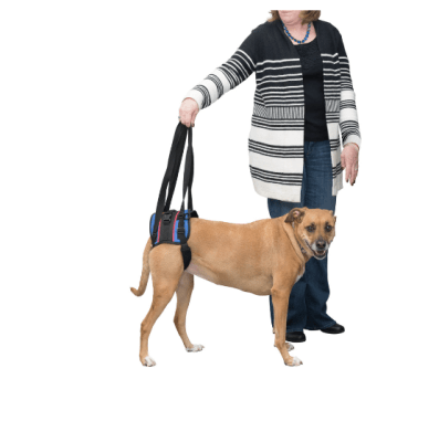 walkinpets arnes combo trasero