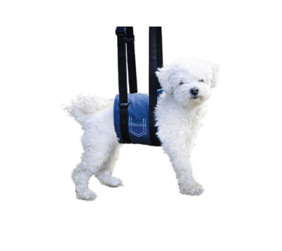 walkinpets cabestrillo de apoyo