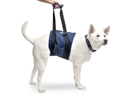 walkinpets cabestrillo de apoyo