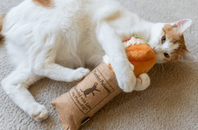 play baguette para gatos