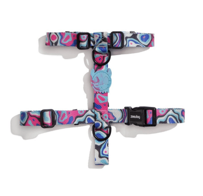 zeedog blast arnes H