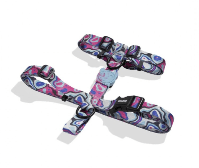 zeedog blast arnes H