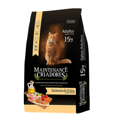 criadores gato adulto