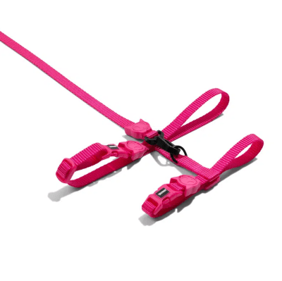zeecat pink led arnes + trailla