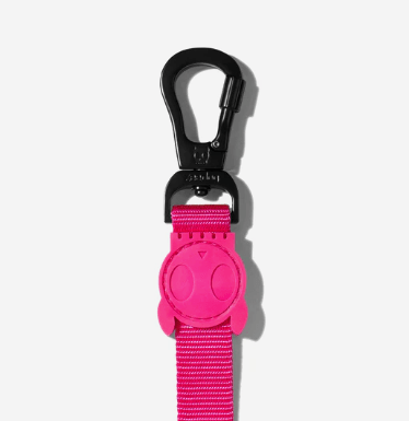 zeedog pink led trailla
