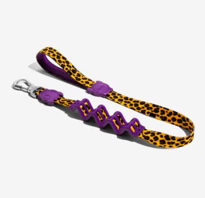zeedog honey ruff leash