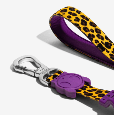 zeedog honey ruff leash