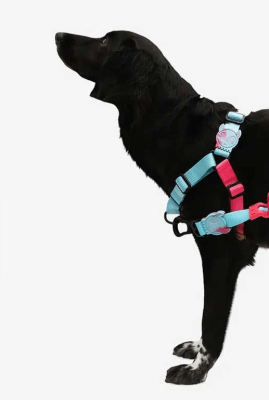 zeedog hydra soft-walk