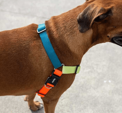 zeedog jumper soft-walk