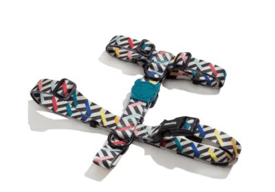 zeedog fritz arnes H