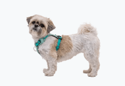 ruffwear hi&light arnes sage green