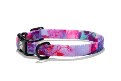 wolfgang collar daydream