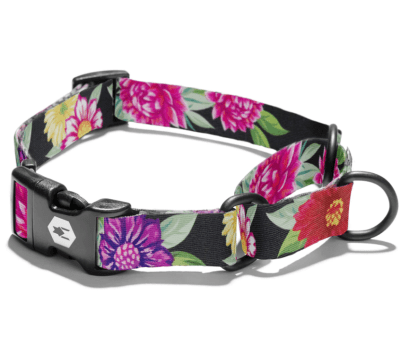 wolfgang collar martingale darkfloral