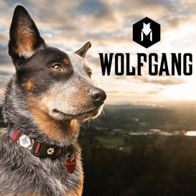 wolfgang collar martingale darkfloral