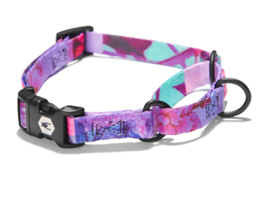 wolfgang collar martingale daydream