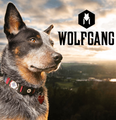 wolfgang collar martingale digifloral