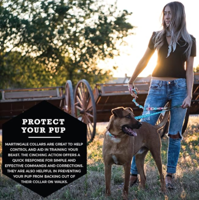 wolfgang collar martingale feathered