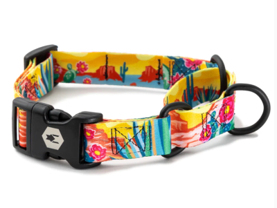 wolfgang collar martingale packleader