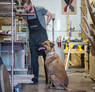 wolfgang collar whiteowl