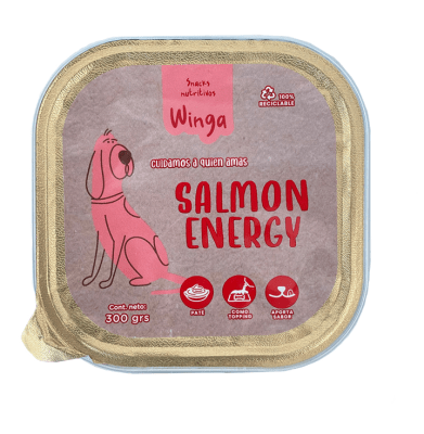 winga pate salmon