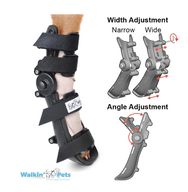walkinpets ferula ajustable delant/trase
