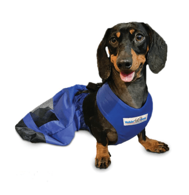 walkinpets bolsa de arrastre