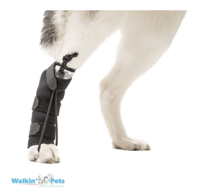 walkinpets corrector propioceptivo tras