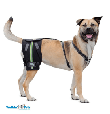 walkinpets hip-ezz abrazadera cadera