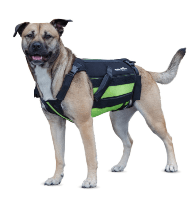 walkinpets vertabrave