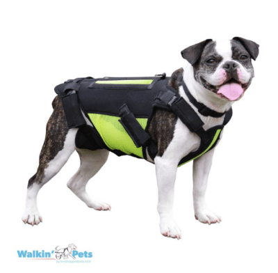 walkinpets vertabrave